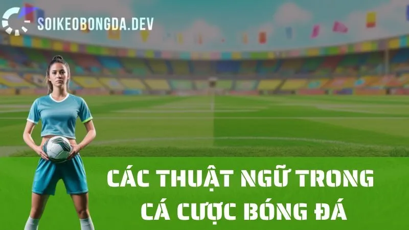 Giải Mã Các Thuật Ngữ Cá Cược Bóng Đá Phổ Biến Và Cách Đọc Kèo